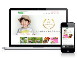 Tanabe WEBサイト